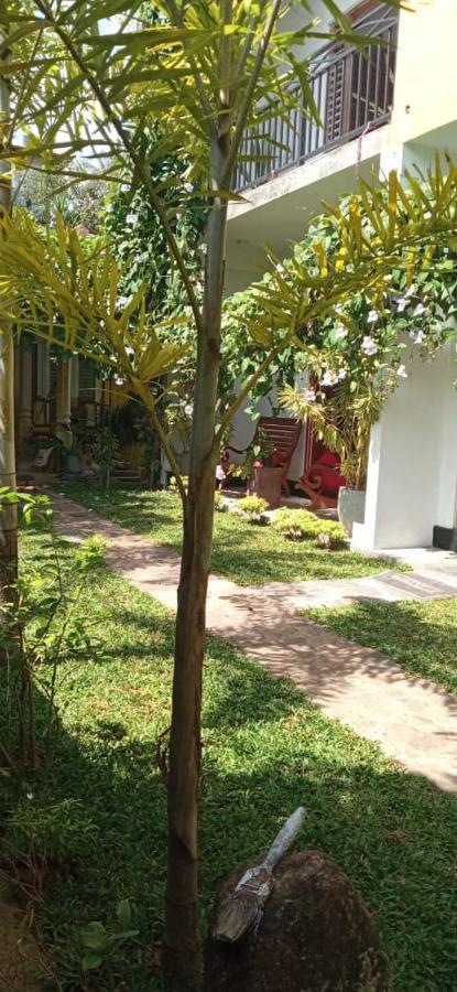Mandara Rest Bed & Breakfast Hikkaduwa Eksteriør bilde