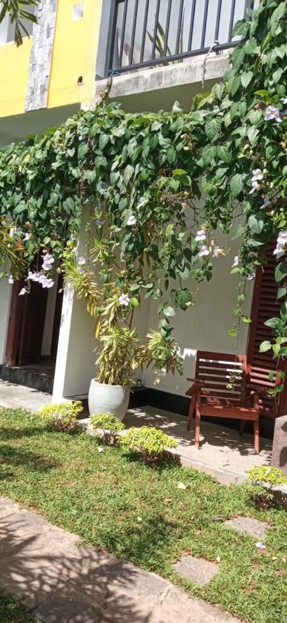Mandara Rest Bed & Breakfast Hikkaduwa Eksteriør bilde