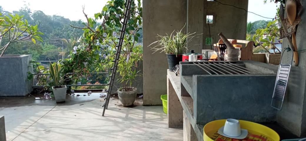 Mandara Rest Bed & Breakfast Hikkaduwa Eksteriør bilde