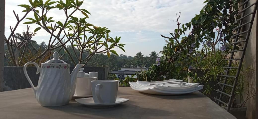 Mandara Rest Bed & Breakfast Hikkaduwa Eksteriør bilde