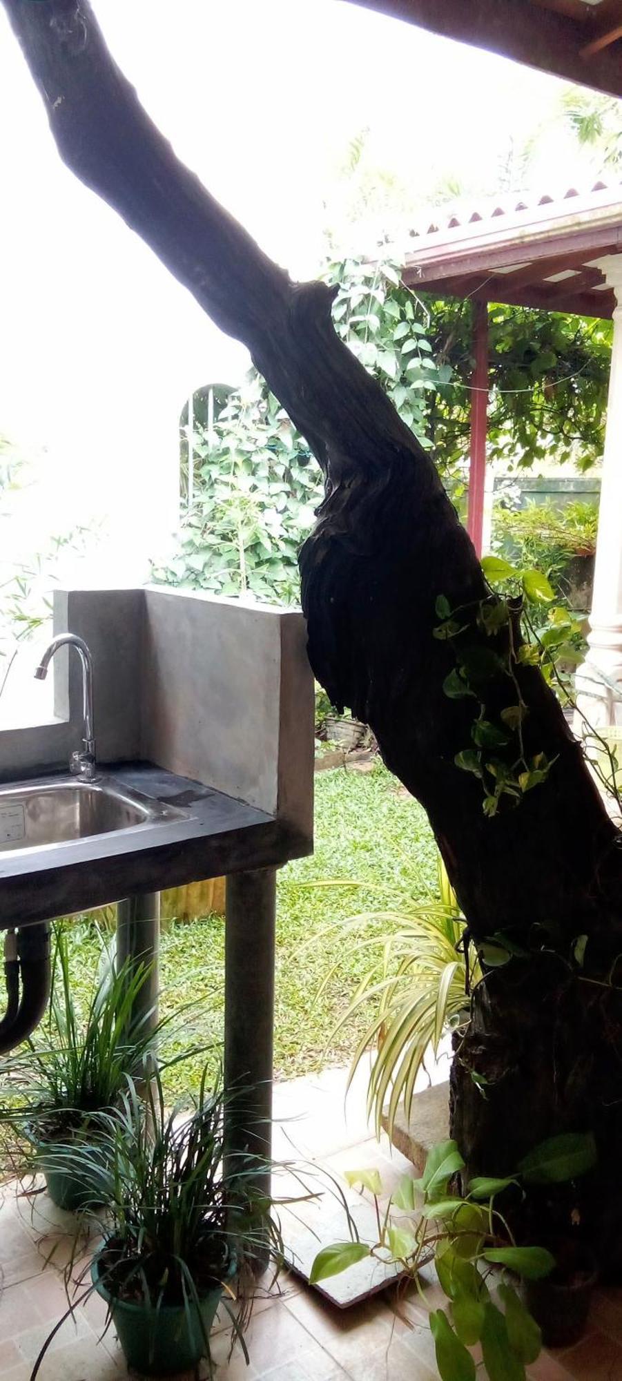 Mandara Rest Bed & Breakfast Hikkaduwa Rom bilde