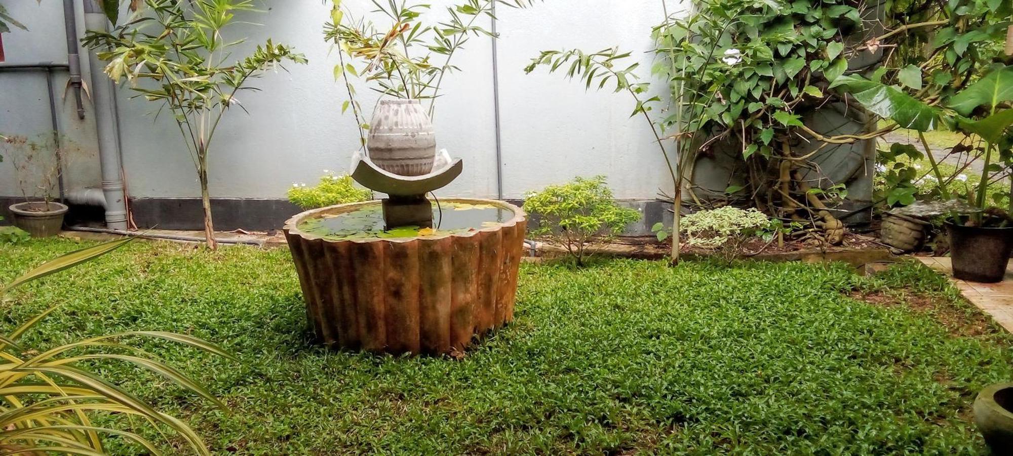 Mandara Rest Bed & Breakfast Hikkaduwa Rom bilde